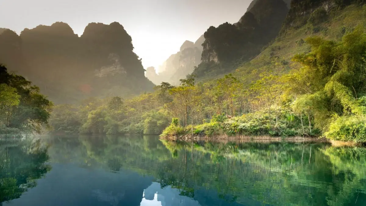 智能智能高性能